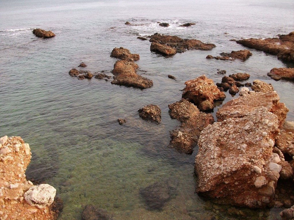 Esnórquel en Les Rotes, reserva del cabo de Sant Antoni (Dénia)