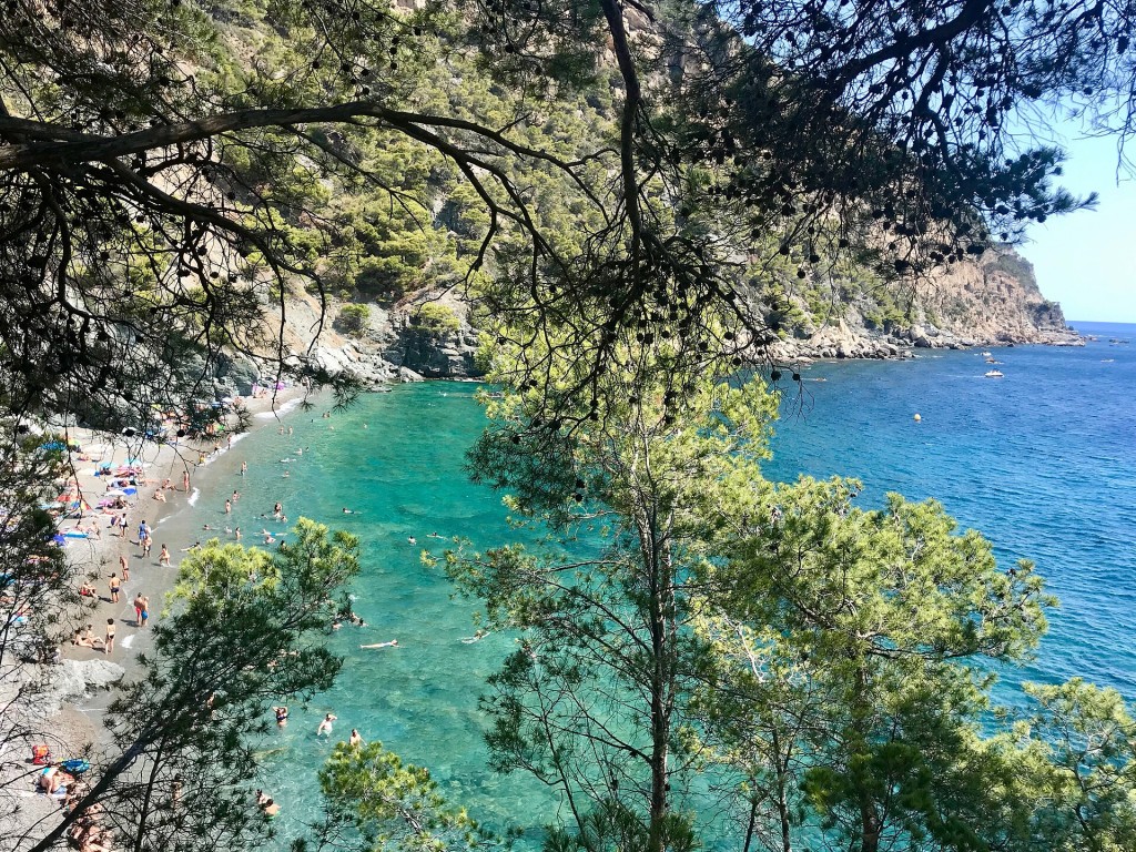 Kayak y paddle surf entre calas de Begur (Aiguablava)