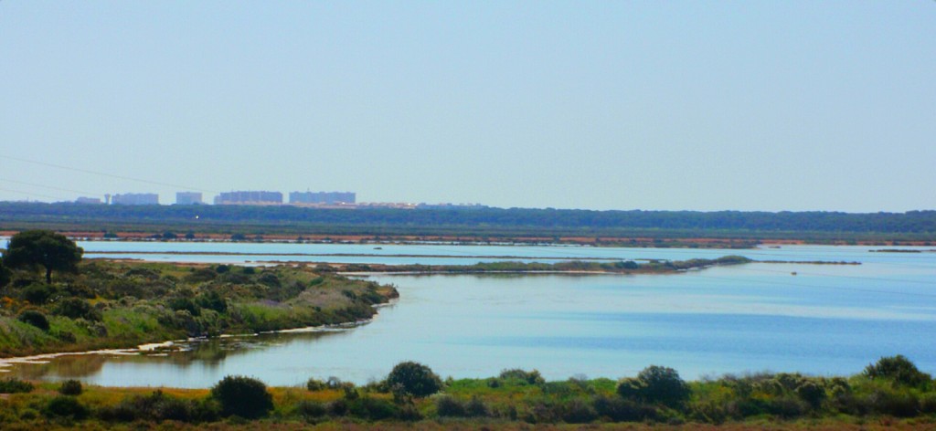 Marismas del Odiel, Huelva