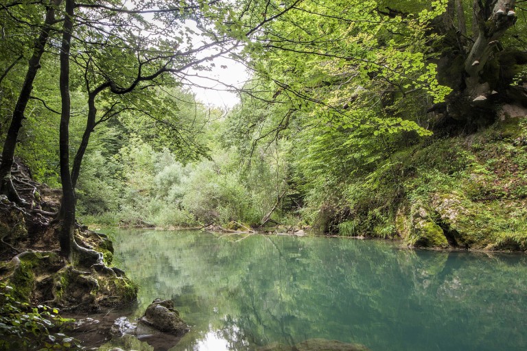 Nacedero del Urederra, Baquedano (con reserva)