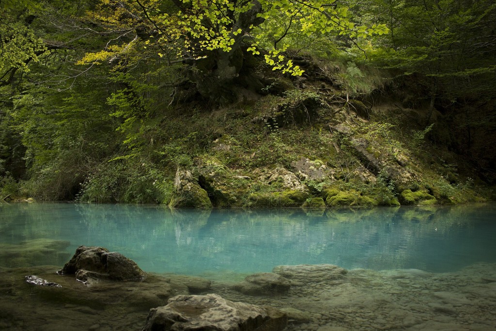 Nacedero del Urederra, Baquedano (con reserva)