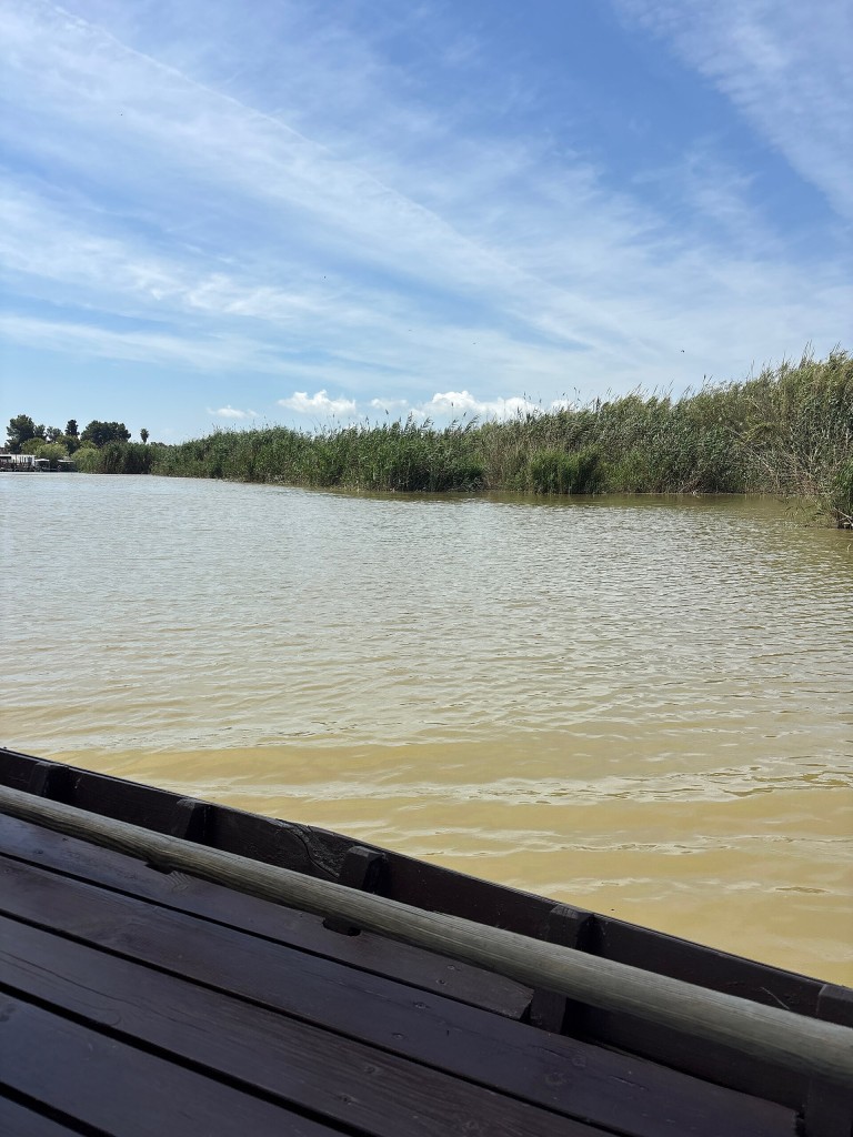Paseo en barca por la Albufera, El Palmar (Valencia)