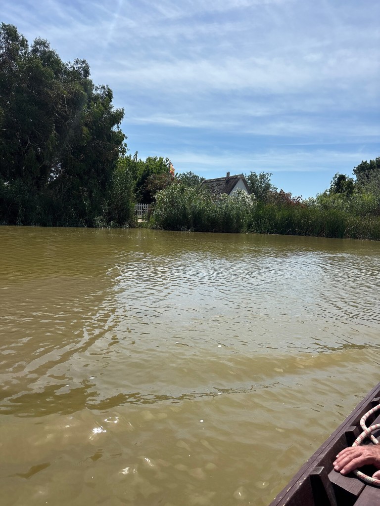 Paseo en barca por la Albufera, El Palmar (Valencia)