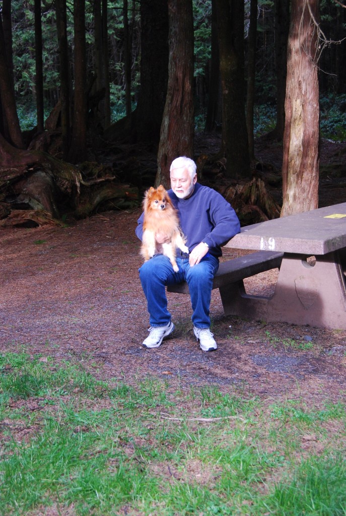 Perro junto a una mesa de picnic en un camping