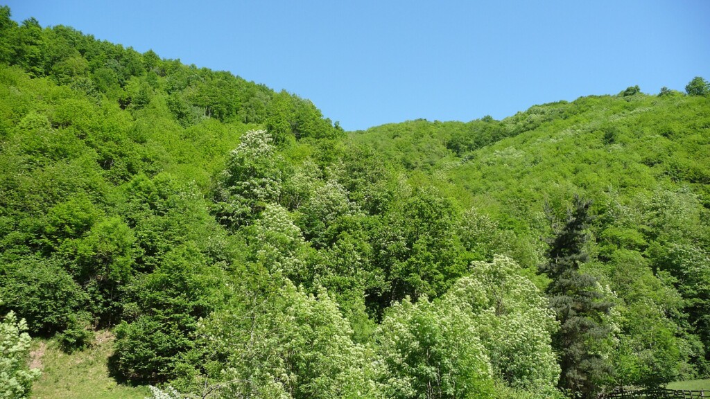 Ruta del Alba: Soto de Agues a la Cruz de los Ríos (Redes, Asturias)