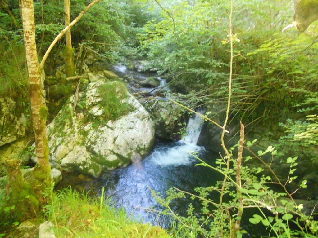 Ruta del Alba: Soto de Agues a la Cruz de los Ríos (Redes, Asturias)