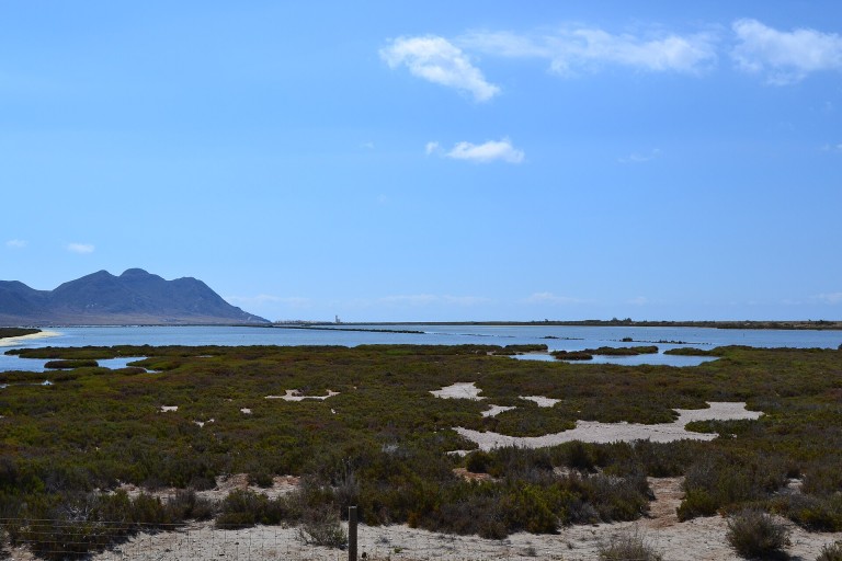 Salinas de Cabo de Gata y Arrecife de las Sirenas
