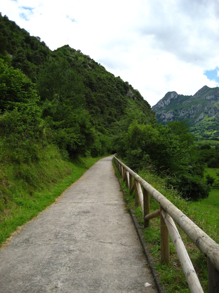 Senda del Oso: de Tuñón a Caranga a pie o en bici (Asturias)