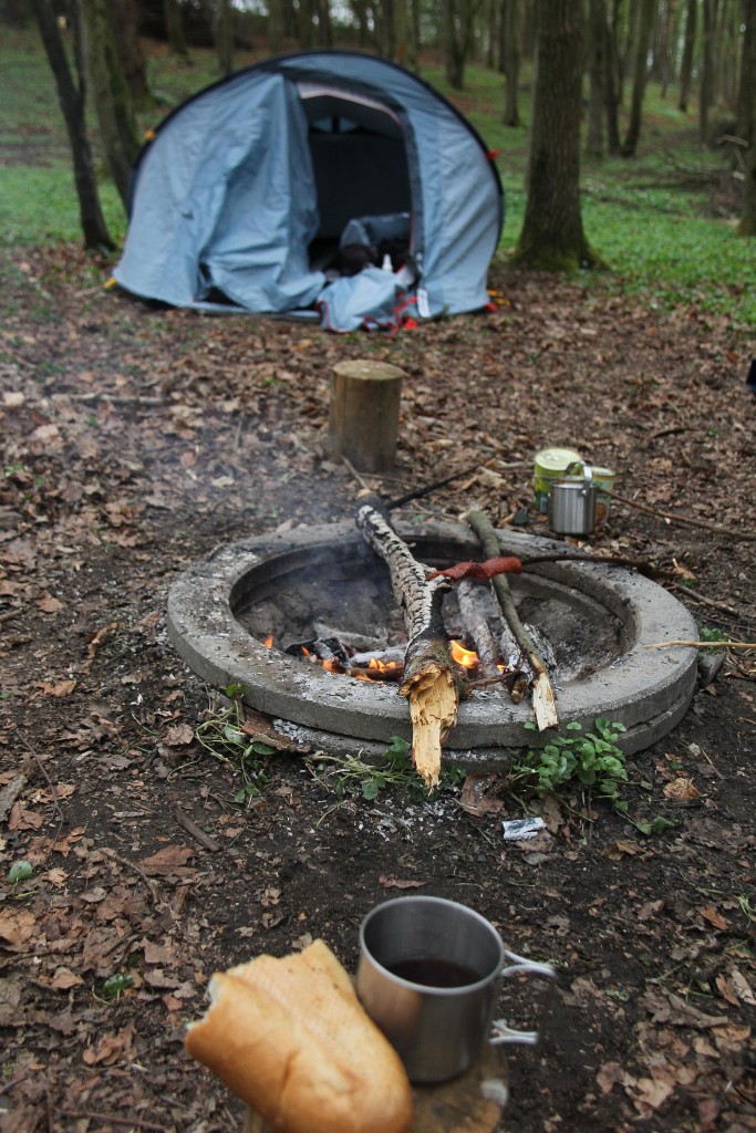 Tienda de campaña junto a un fuego en un bosque