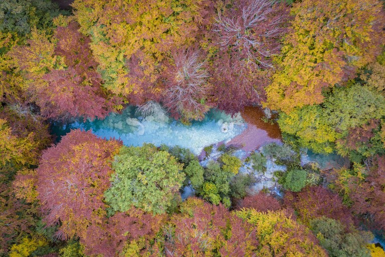 El Nacedero del Urederra entre hayedos de otoño
