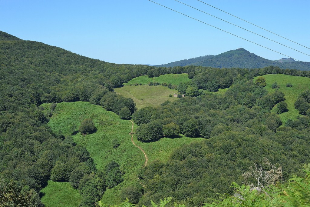 Prados y bosques del valle de Baztán