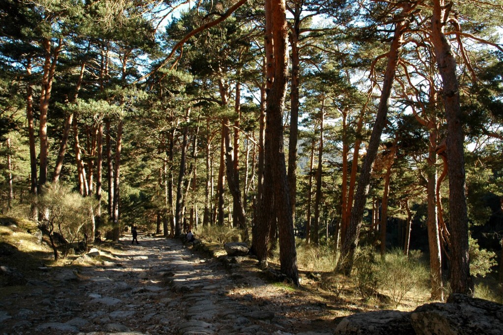 Valle de la Fuenfría: calzada romana y Camino Schmid, Cercedilla