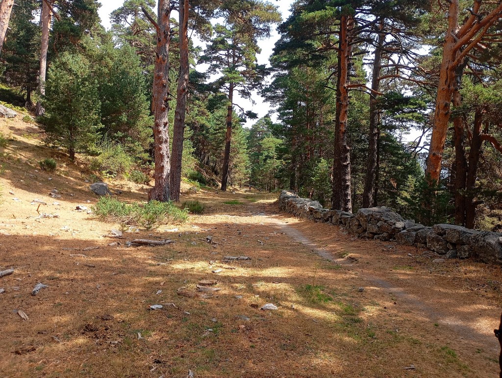Valle de la Fuenfría: calzada romana y Camino Schmid, Cercedilla